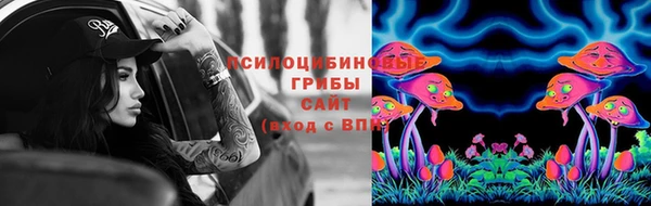 героин Алексин