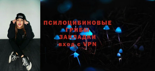 молекула духа Алзамай