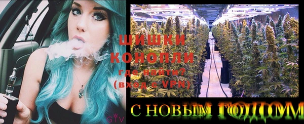 молекула духа Алзамай