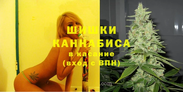 молекула духа Алзамай