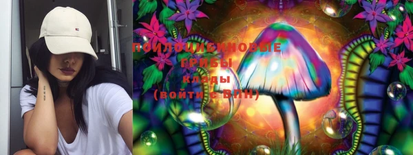 молекула духа Алзамай